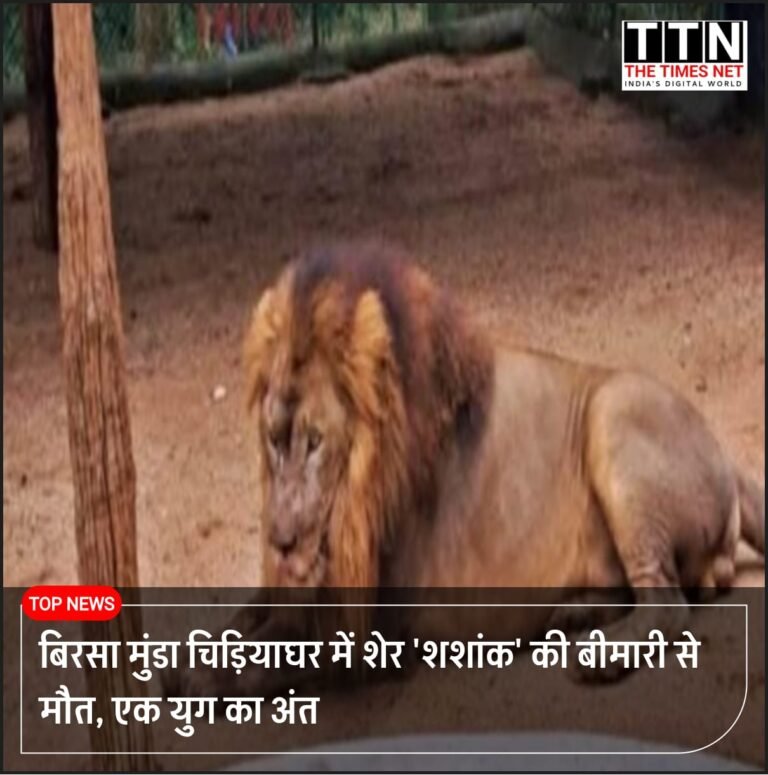बिरसा मुंडा चिड़ियाघर में शेर ‘शशांक’ की बीमारी से मौत, एक युग का अंत